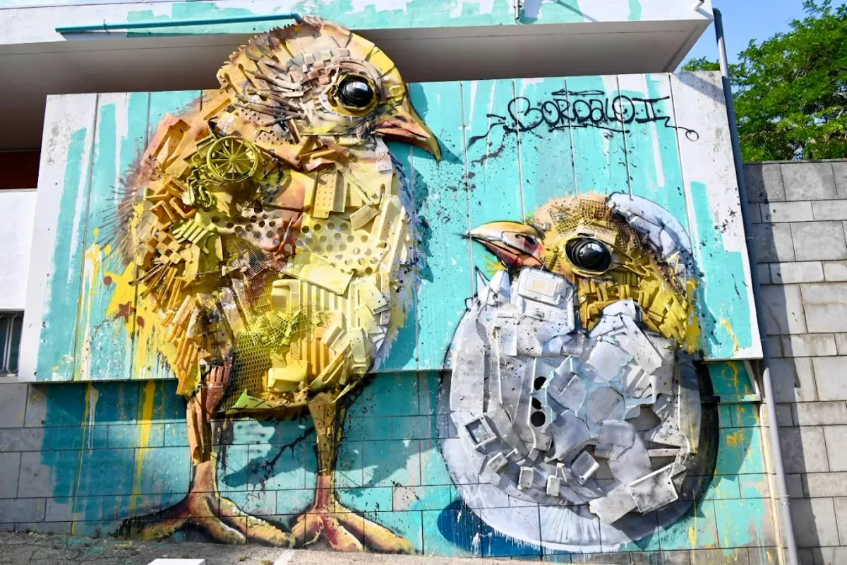 Chicks of Hope